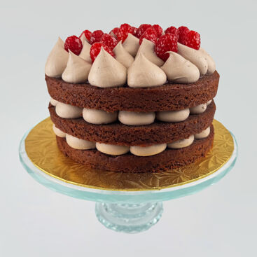 Chocolate & Raspberry Cake